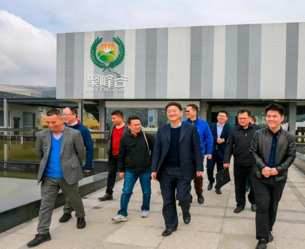 集團(tuán)黨委書記、董事長(zhǎng)任丁率隊(duì)調(diào)研聚峰谷