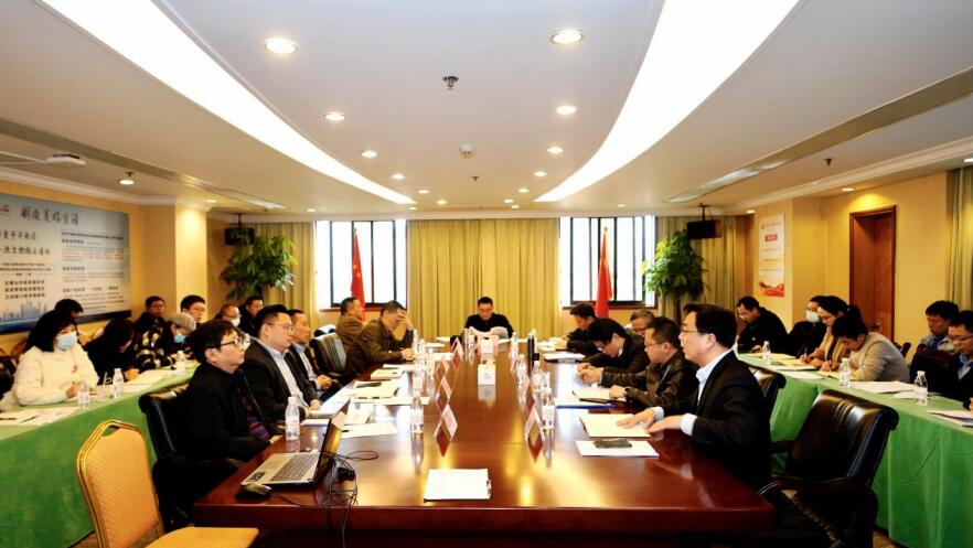 集團組織召開“十四五”規(guī)劃研討及投資管理專項整治工作會