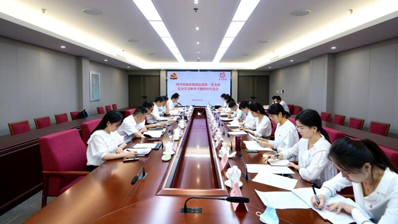 旅投集團(tuán)黨委書記、董事長(zhǎng)任丁參加總部第一黨支部黨史學(xué)習(xí)教育專題組織生活會(huì)