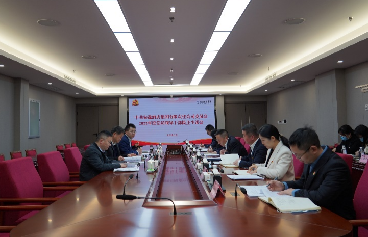 旅投集團(tuán)黨委書記、董事長任丁出席安逸酒店集團(tuán)2022年度黨員領(lǐng)導(dǎo)干部民主生活會(huì)